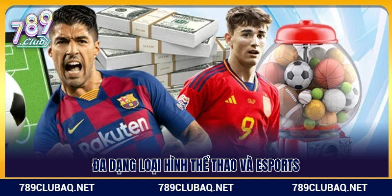 Phong phú các thể loại thể thao cùng thể thao điện tử